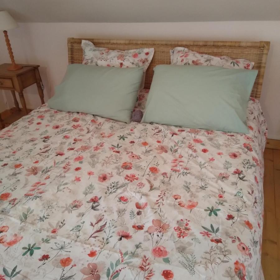 Bed and Breakfast Les Dames De La Saugiat Le Fied Экстерьер фото